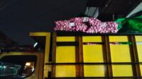 IMG-20260801-WA0086
